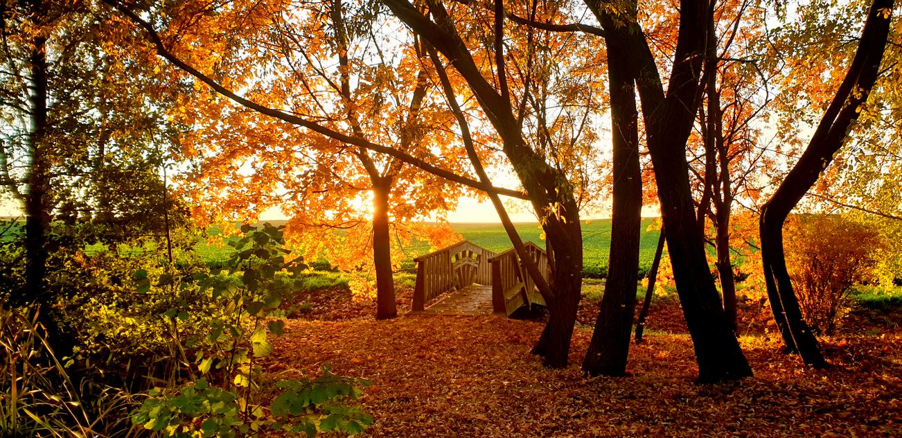 Bilder vom Goldenen Herbst aus Ameis